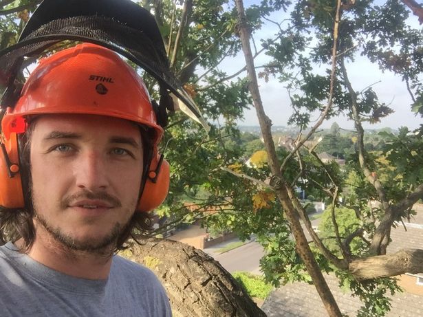 liam mcgough in a tree