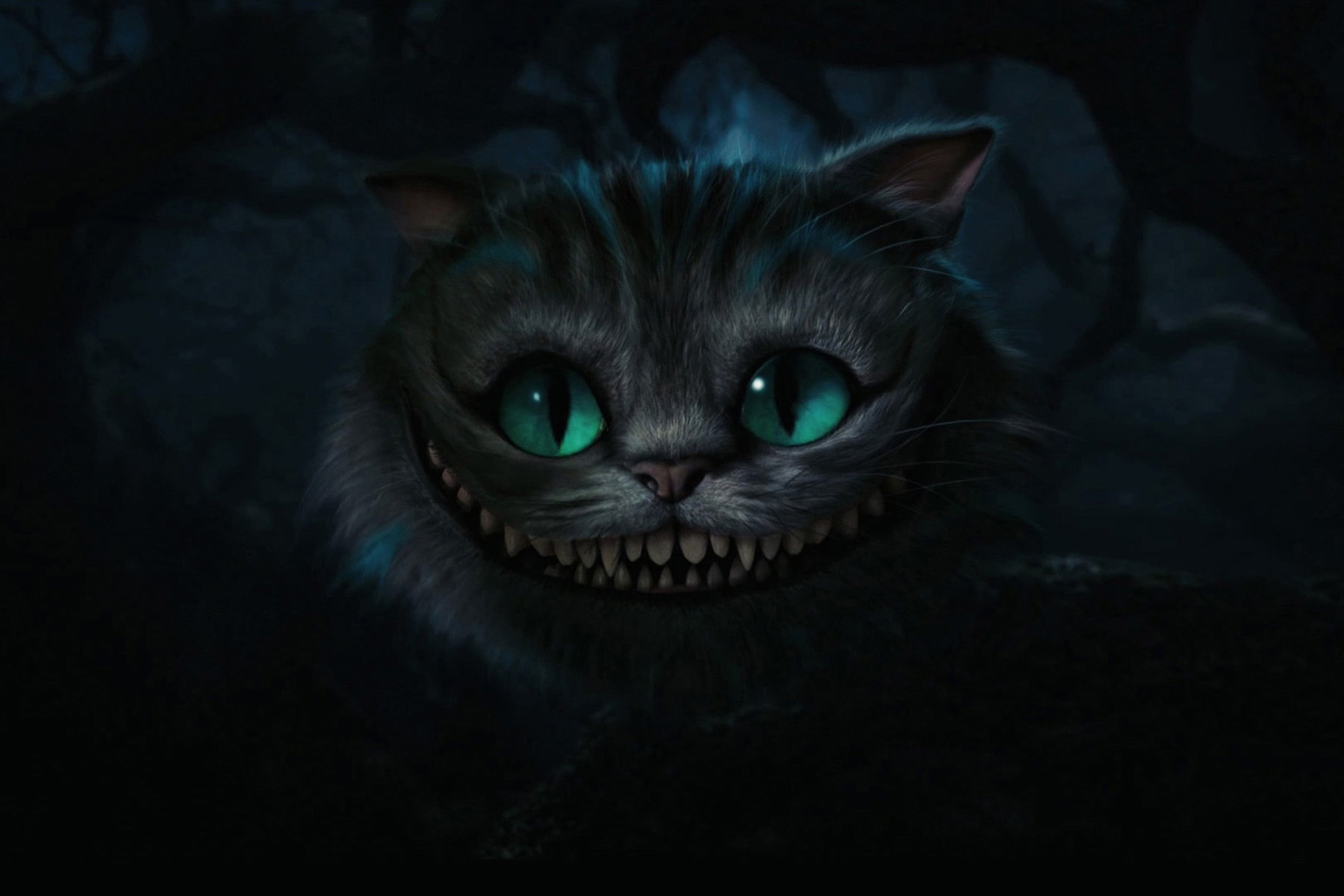 quiz main image