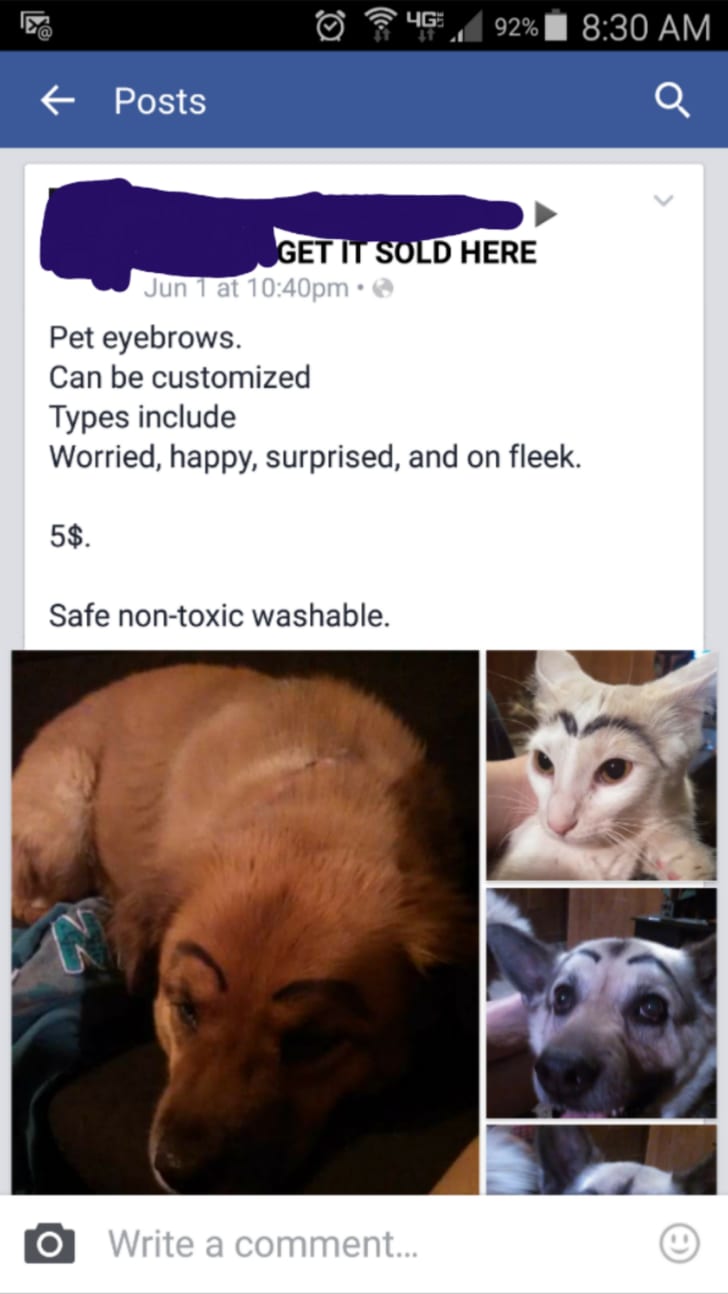 facebook market place pets