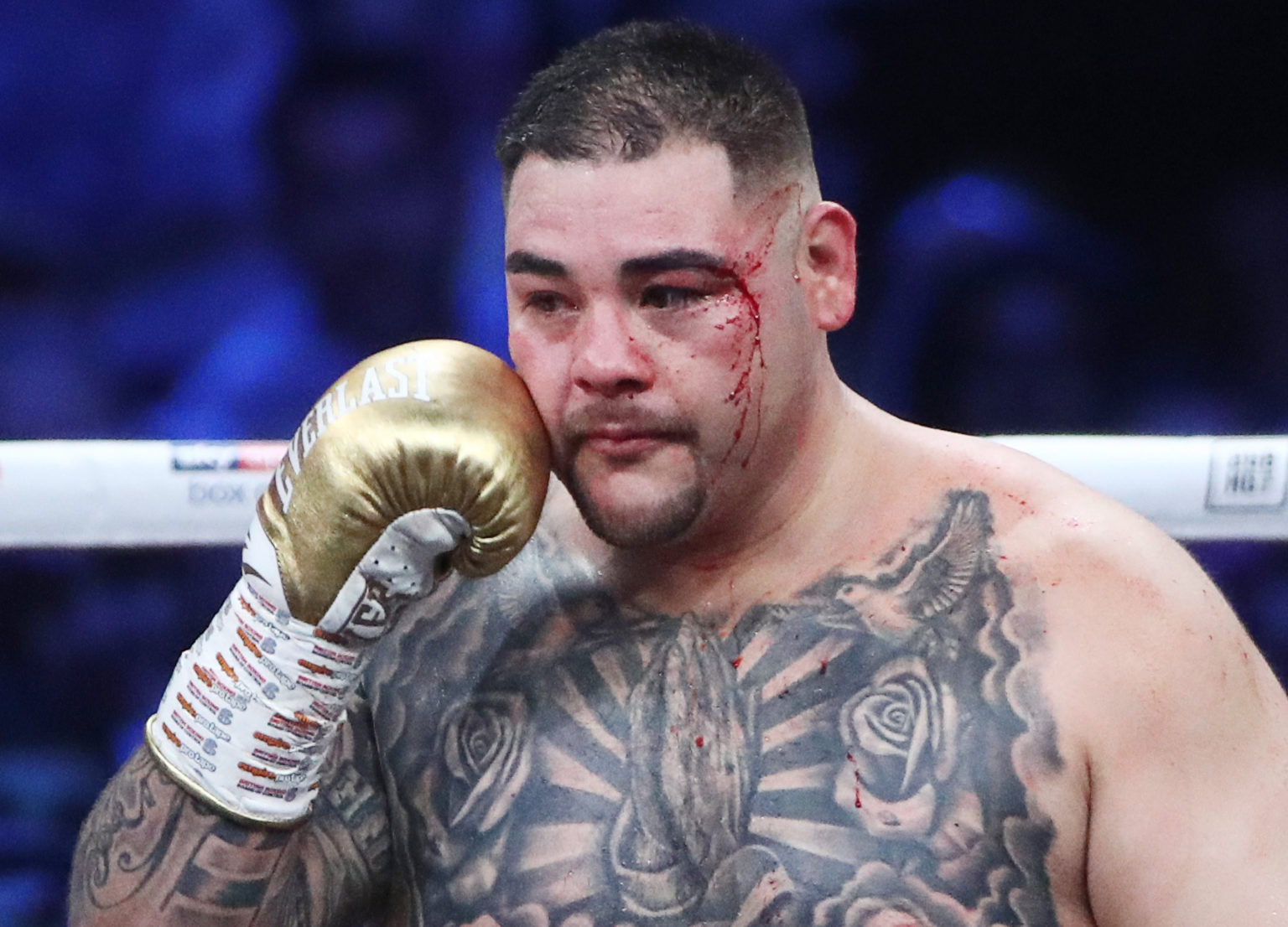 Andy Ruiz Jr Net Worth