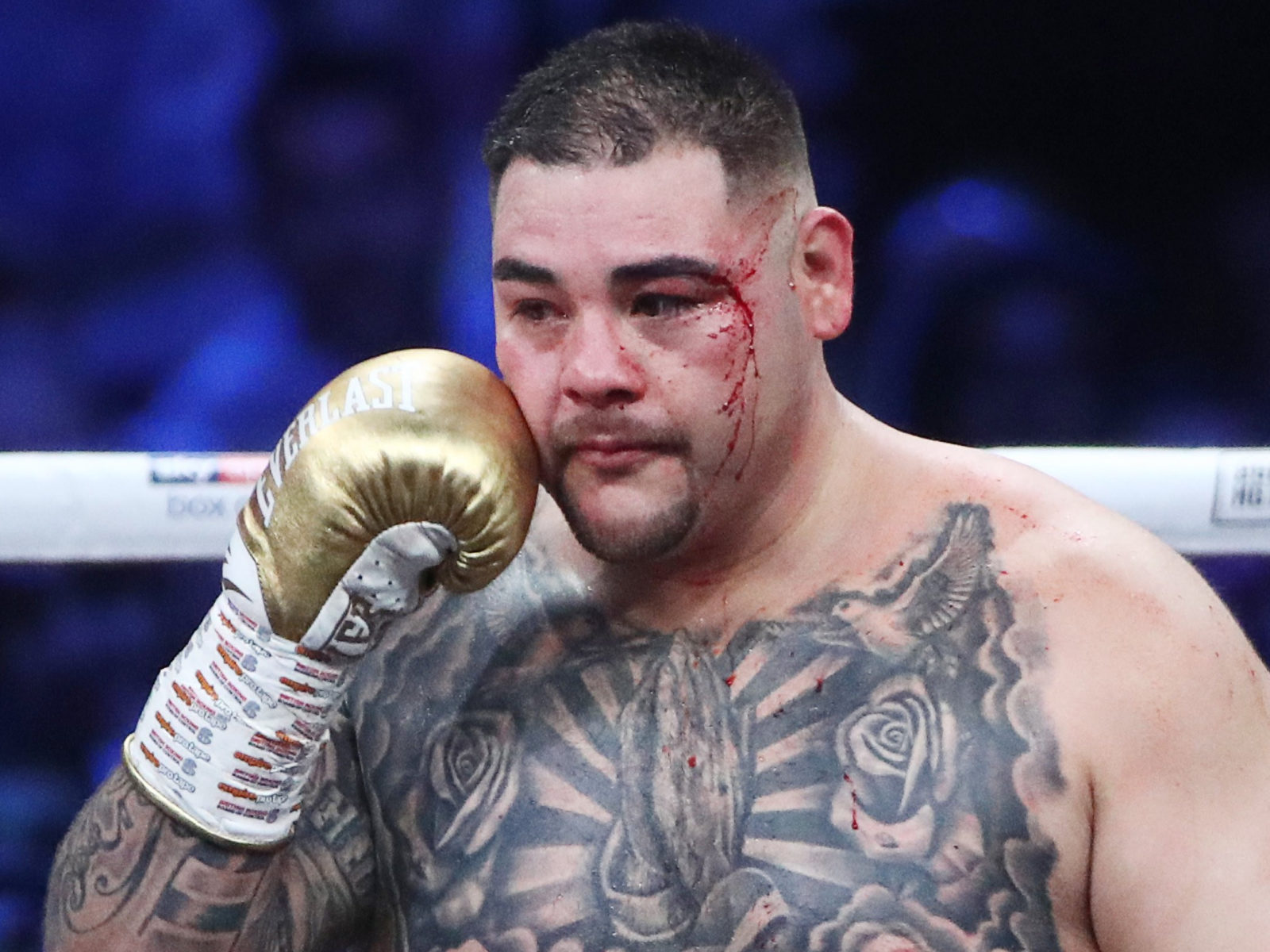 Andy Ruiz Jr Net Worth