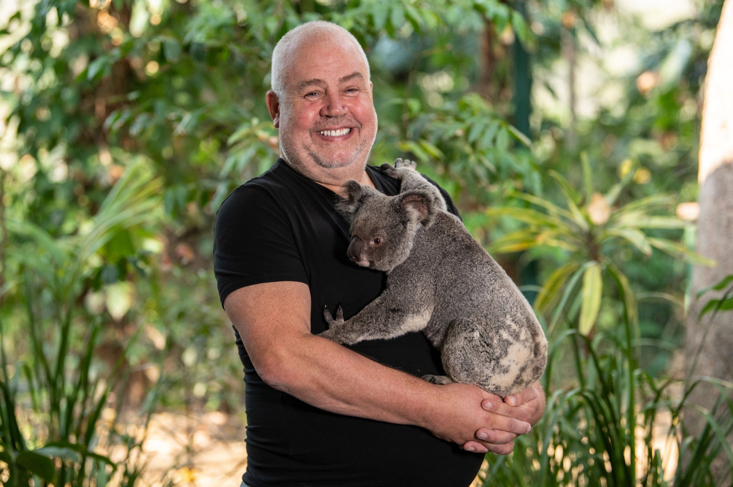 Cliff and Koala 