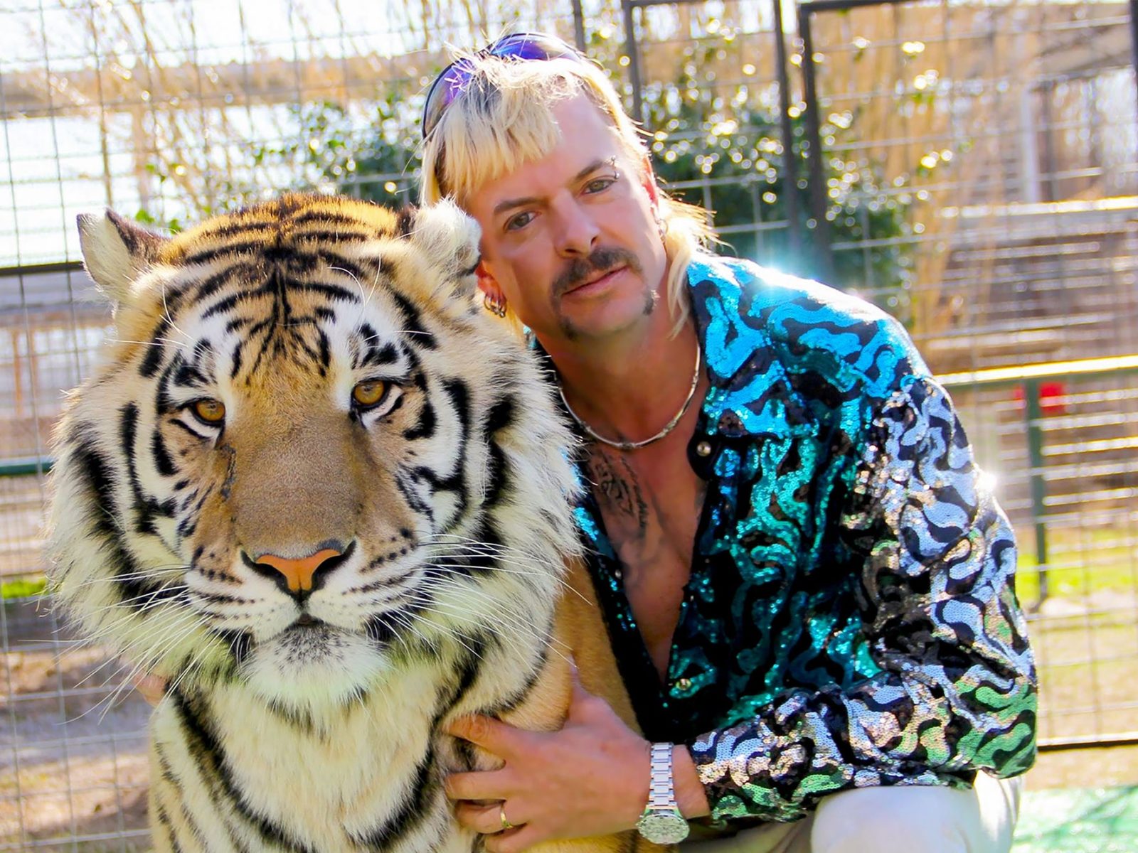 joe exotic memes