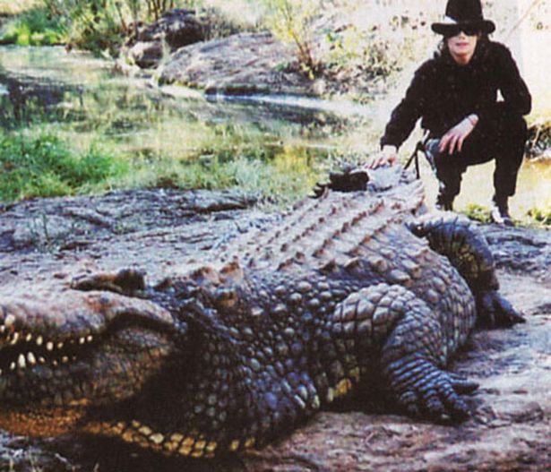 michael jackson and crocodile
