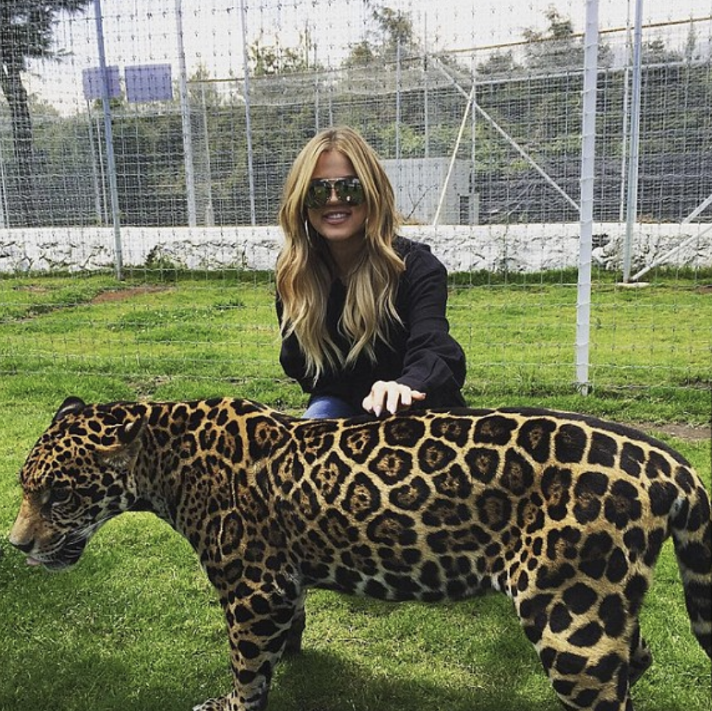 khloe kardashian big cat rescue organisation mexico