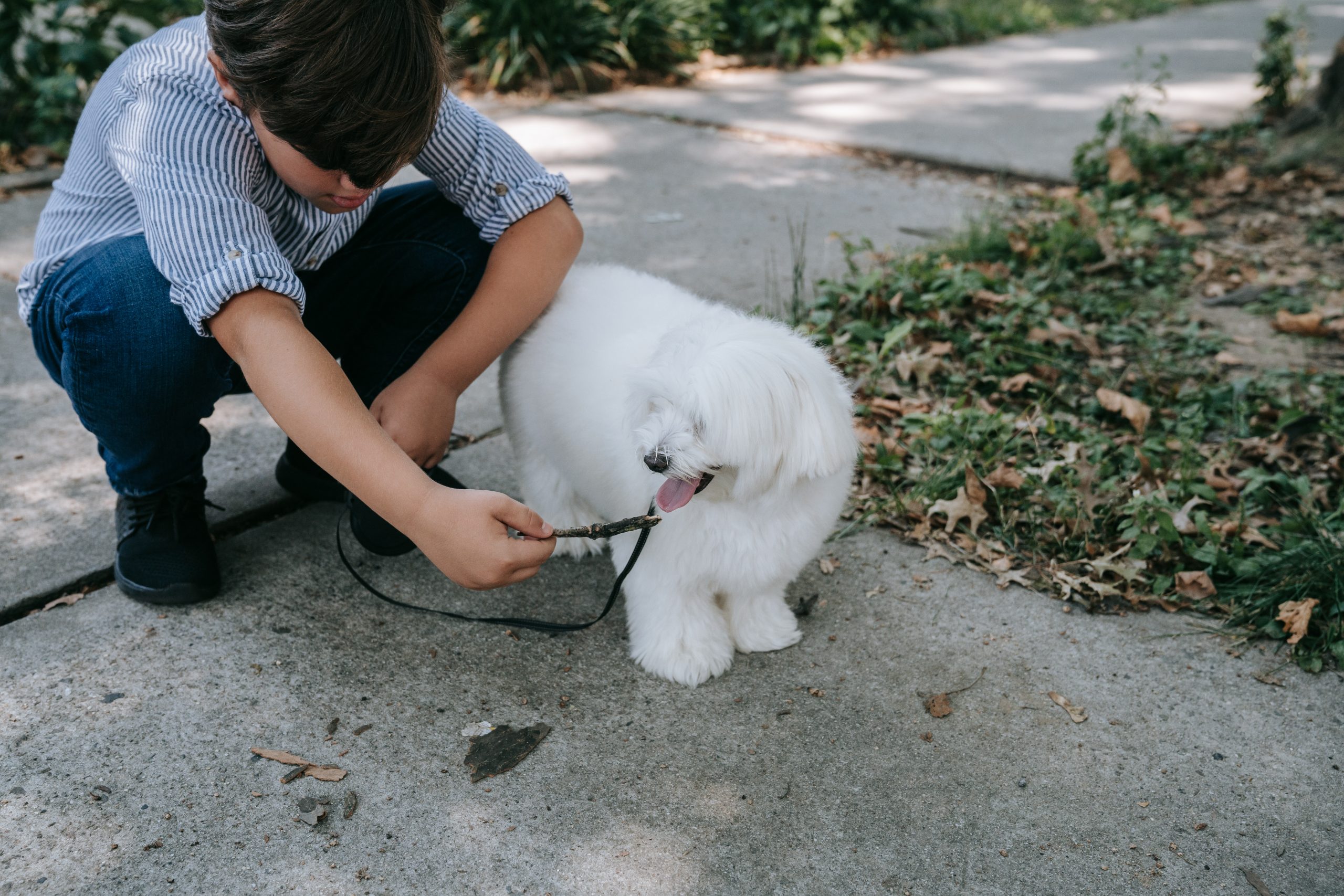 Boy with Dog