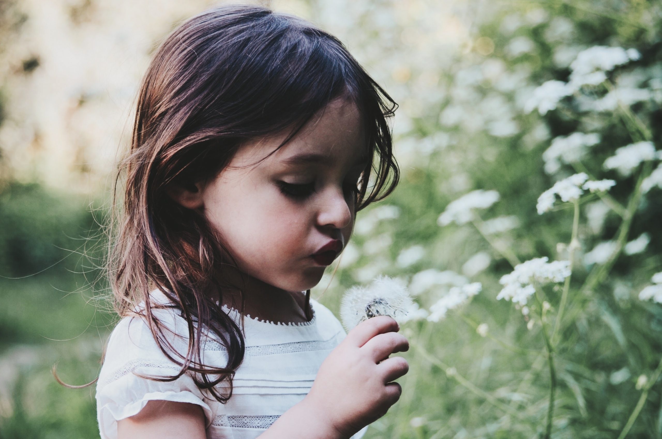 Child Dandelion