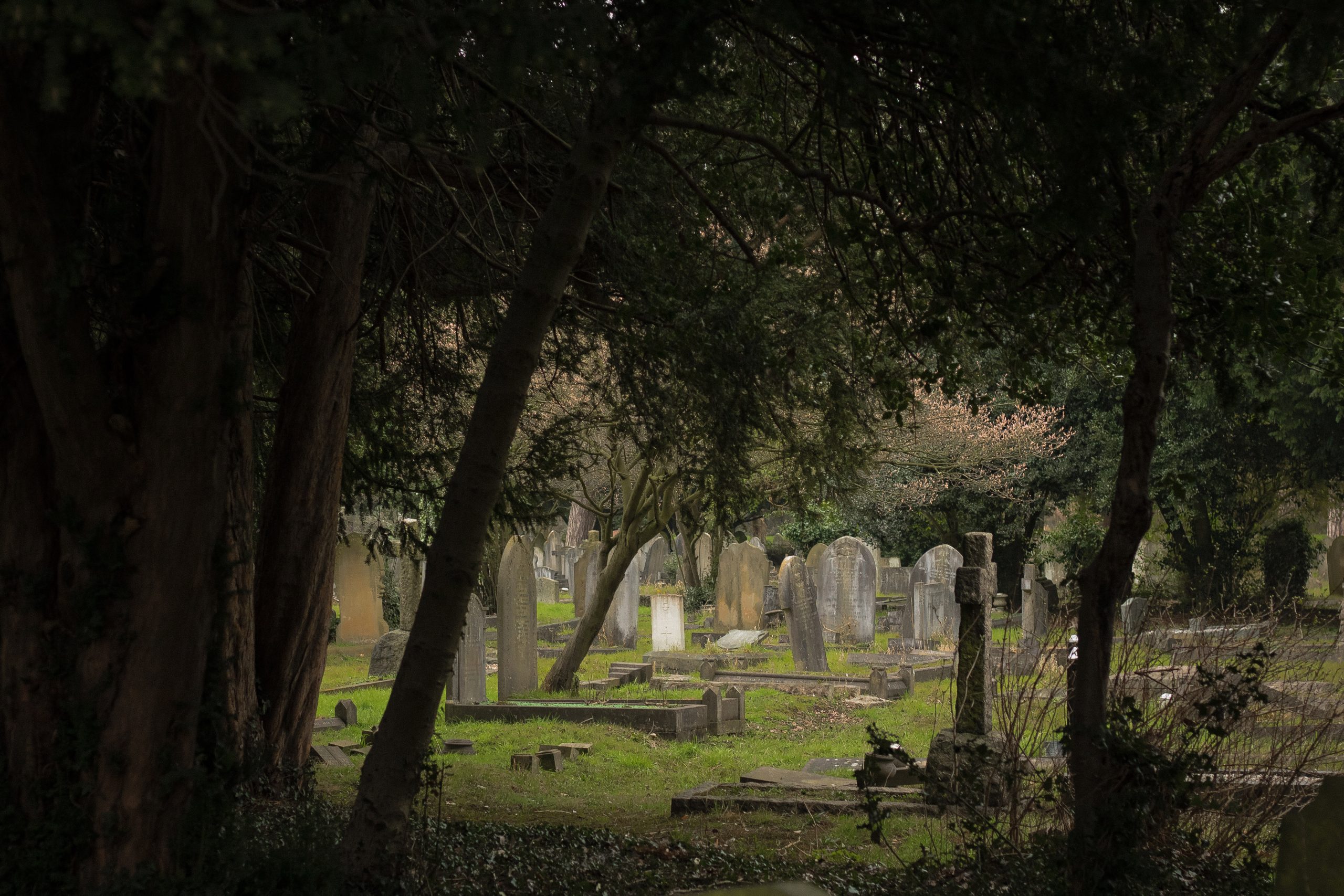 Creepy Cemetery