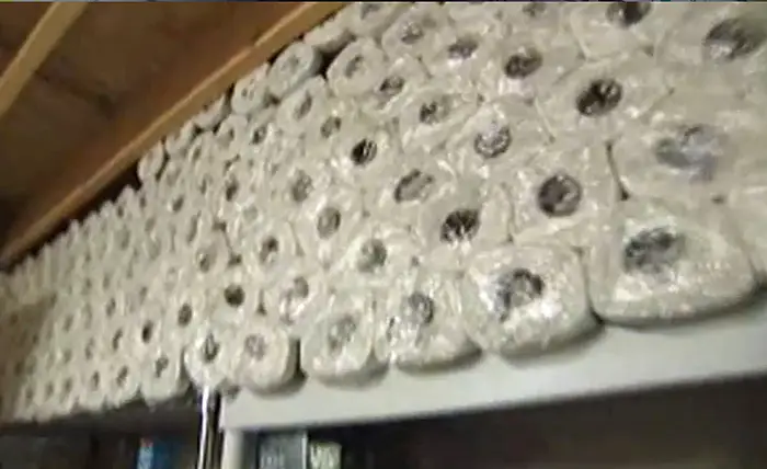 Katherine Stockpiling Toilet Rolls Extreme Couponing