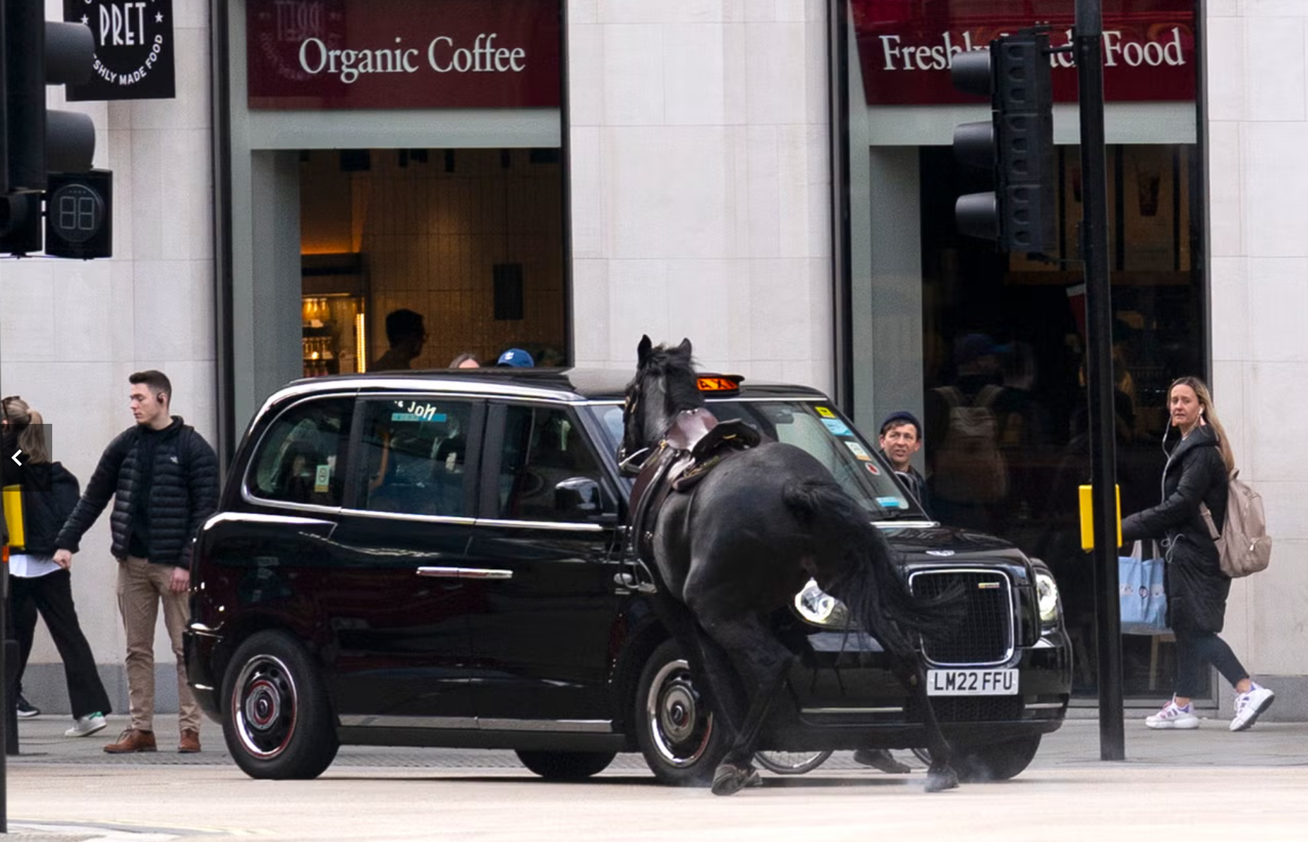 Bystanders watch military horses through London's city centre. 