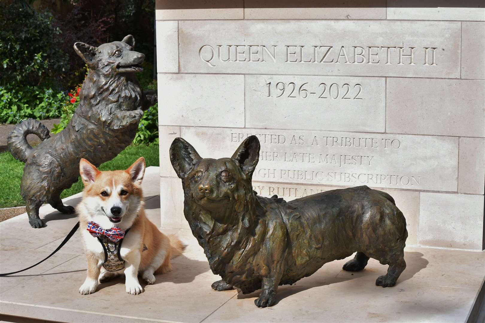 Corgis in attendance for the unveiling of the late Queen's memorial statue. 